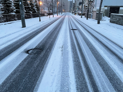 雪便り 2_f0143469_15573930.jpg