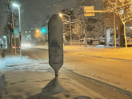 雪便り 2_f0143469_15574135.jpg