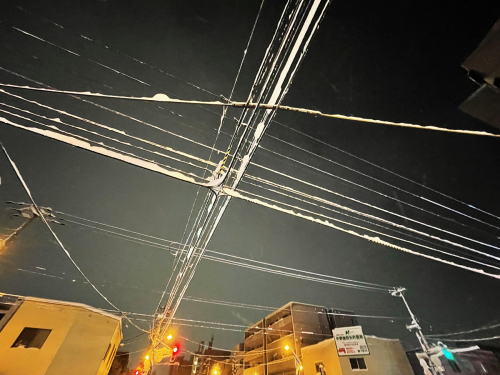 雪便り 2_f0143469_15574197.jpg