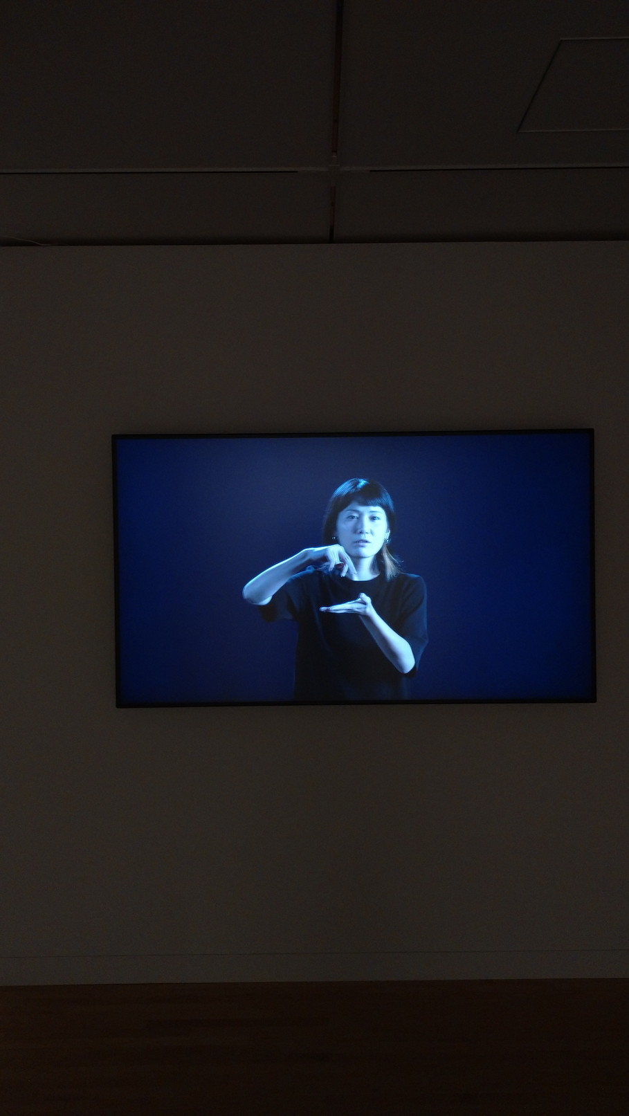 クリスチャン・マークレー　トランスレーティング［翻訳する］展@東京都現代美術館　聴覚の視覚_c0002171_10563605.jpg