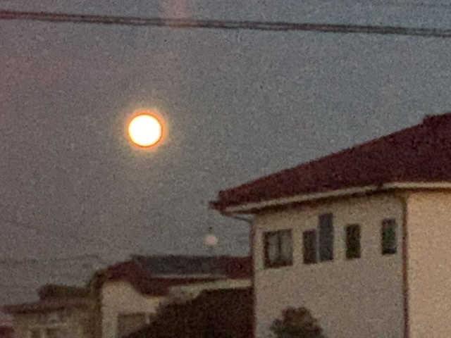 夕焼け&満月_e0040673_21412725.jpeg