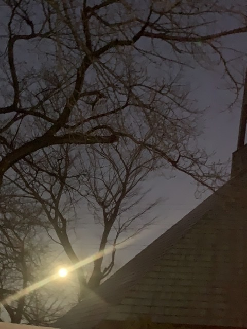夕焼け&満月_e0040673_22195702.jpeg