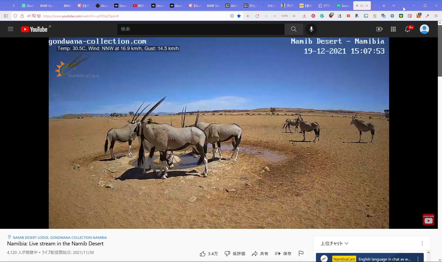 ナミブ砂漠 人工給水所に集まる乾燥地帯の動物 Liveカメラ 12 19 体重と今日食べたもの ナミブ砂漠 人工給水所に集まる乾燥地帯の動物 Liveカメラ 12 19 体重と今日食べたもの