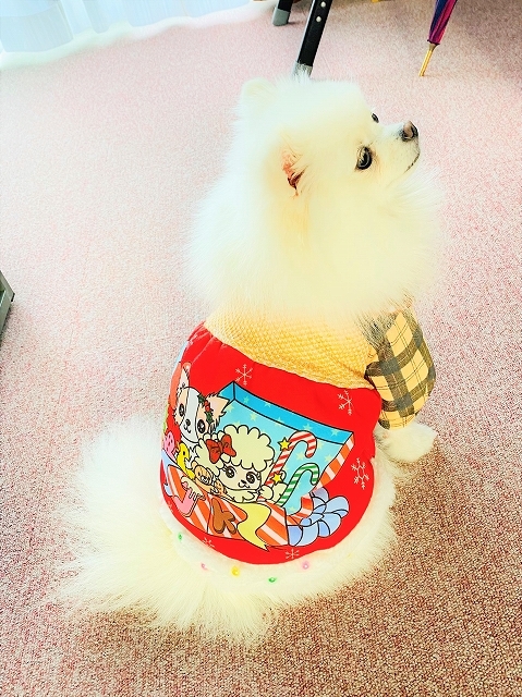 時々おしゃれ女子_d0360206_20004001.jpg