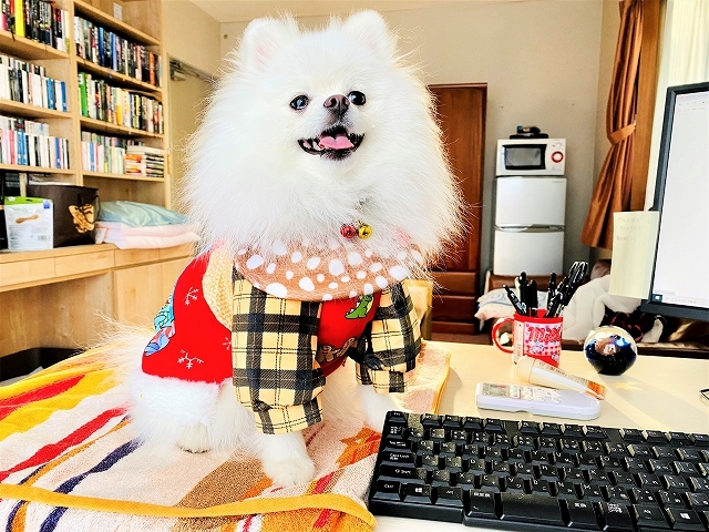 時々おしゃれ女子_d0360206_20004018.jpg