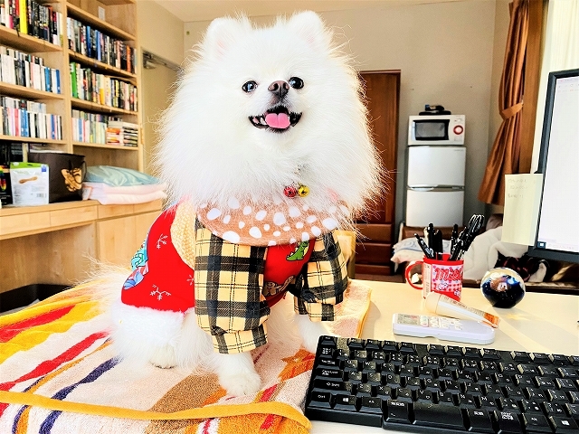 時々おしゃれ女子_d0360206_20004078.jpg
