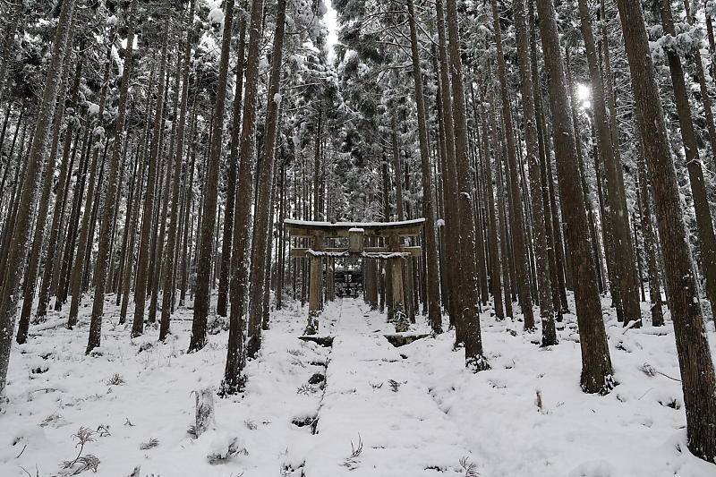 2021年京都の雪景色　初雪景色＠京北　賀茂神社_f0032011_21423904.jpg