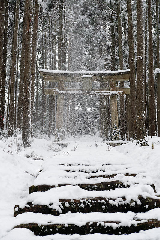 2021年京都の雪景色　初雪景色＠京北　賀茂神社_f0032011_21423934.jpg