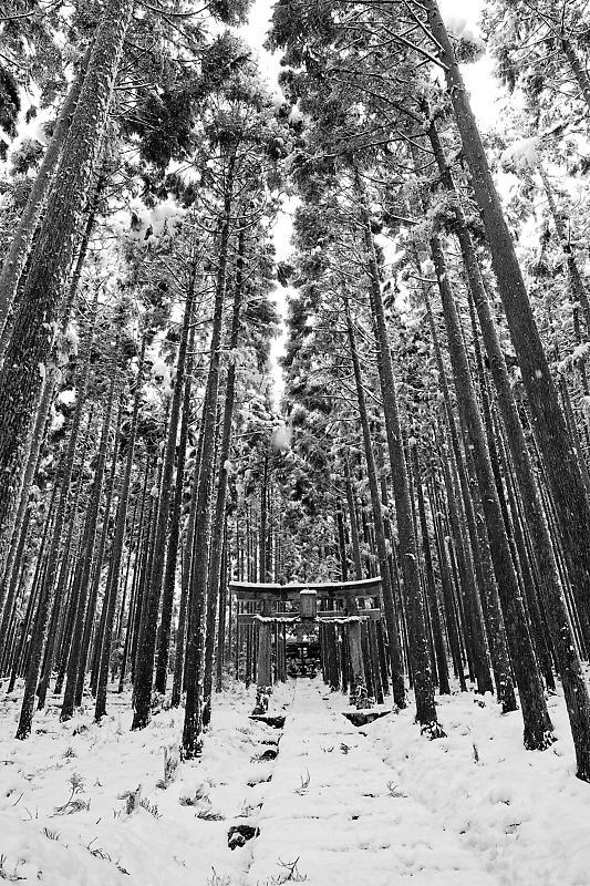 2021年京都の雪景色　初雪景色＠京北　賀茂神社_f0032011_21423993.jpg