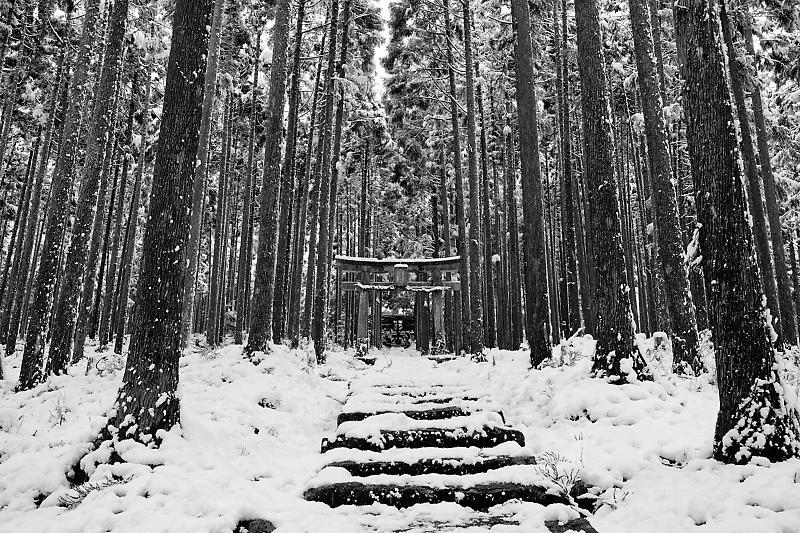 2021年京都の雪景色　初雪景色＠京北　賀茂神社_f0032011_21423998.jpg