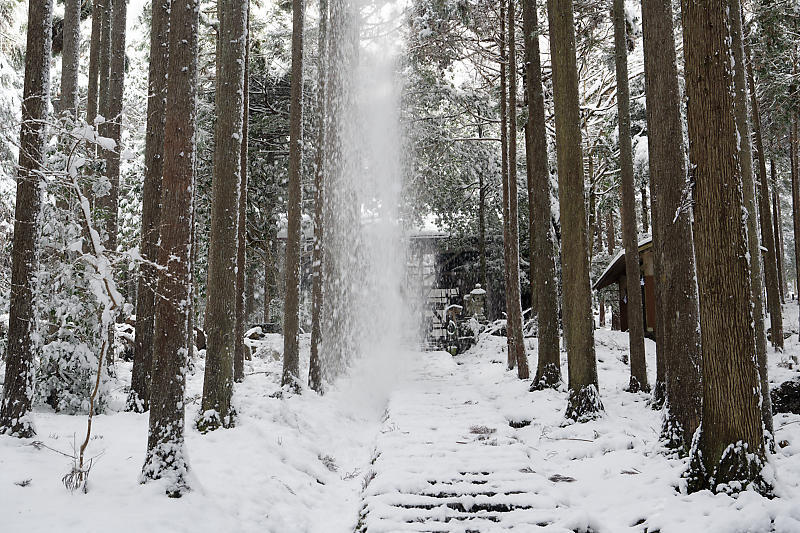 2021年京都の雪景色　初雪景色＠京北　賀茂神社_f0032011_21424021.jpg