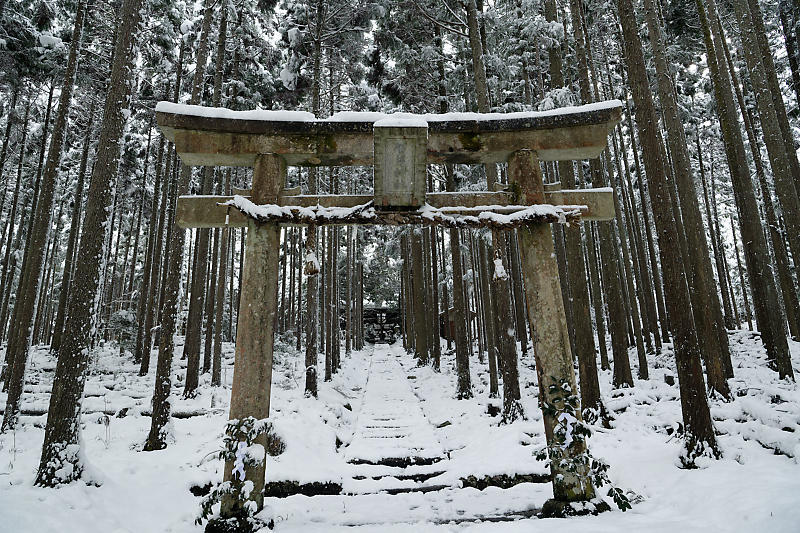 2021年京都の雪景色　初雪景色＠京北　賀茂神社_f0032011_21424080.jpg