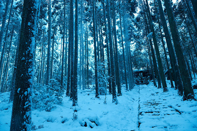 2021年京都の雪景色　初雪景色＠京北　賀茂神社_f0032011_21424099.jpg