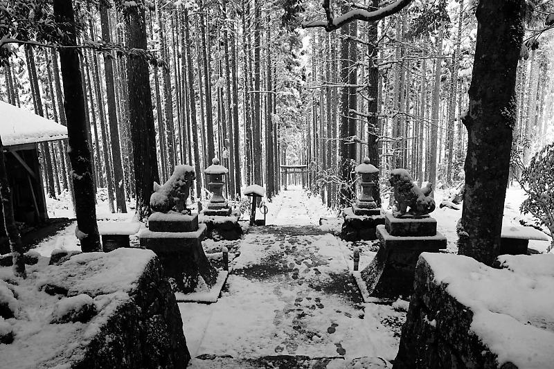 2021年京都の雪景色　初雪景色＠京北　賀茂神社_f0032011_21432615.jpg