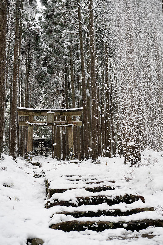 2021年京都の雪景色　初雪景色＠京北　賀茂神社_f0032011_21432767.jpg