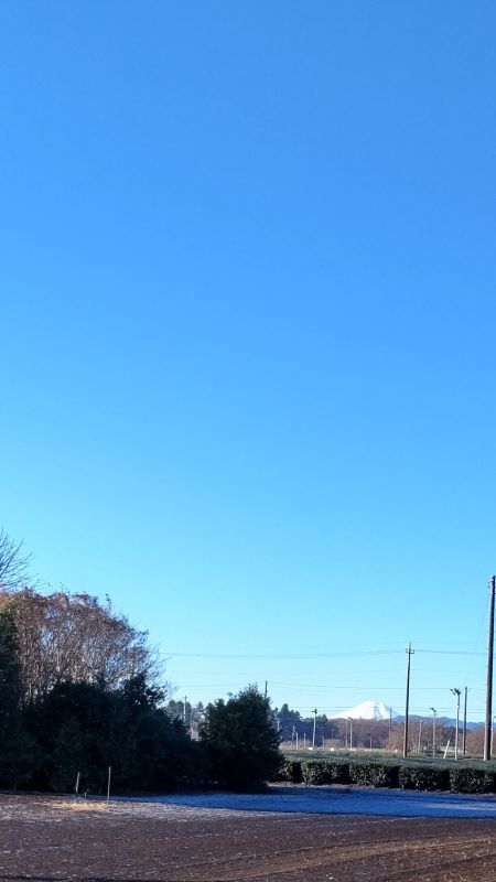 霜　そして歯_c0155326_12423446.jpg