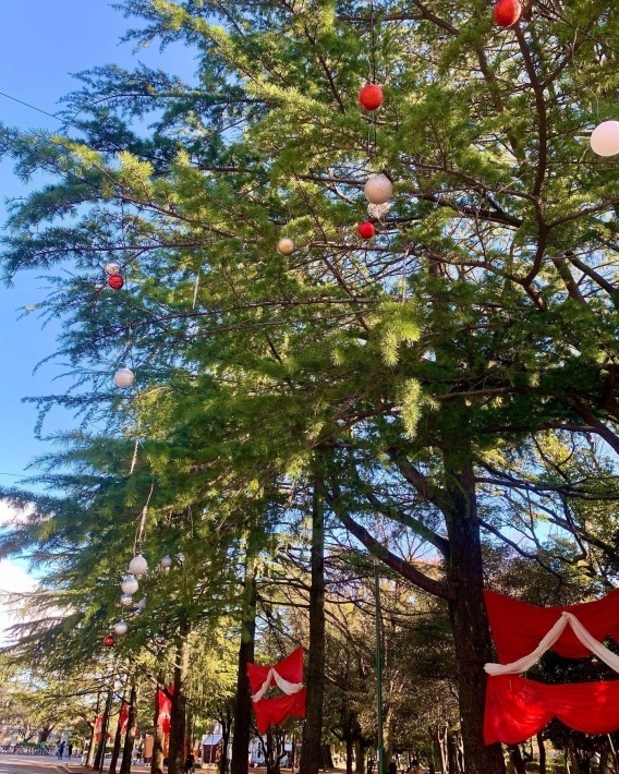 鶴舞公園Special Christmas2021に出演しました!_f0373339_16524804.jpeg