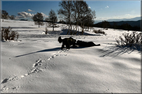 雪遊び2021　@峰の原高原　＃3_f0363141_07305500.jpg