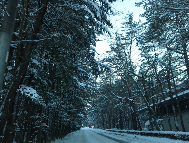 北軽井沢 * いつもの新鮮野菜直売所と雪景色♪_f0236260_14591257.jpg
