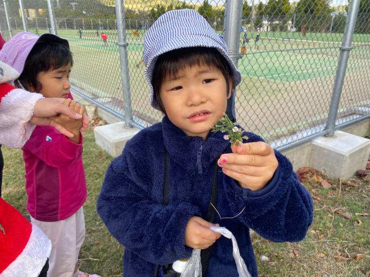 青空ようちえん〔週末〕森のクリスマス・クラフト(12/18)木の実や葉っぱがいっぱい詰まったクリスマスのリースを作ろう!長いツルをぐるぐる巻いてツリーもできた!_d0363878_22345067.jpg