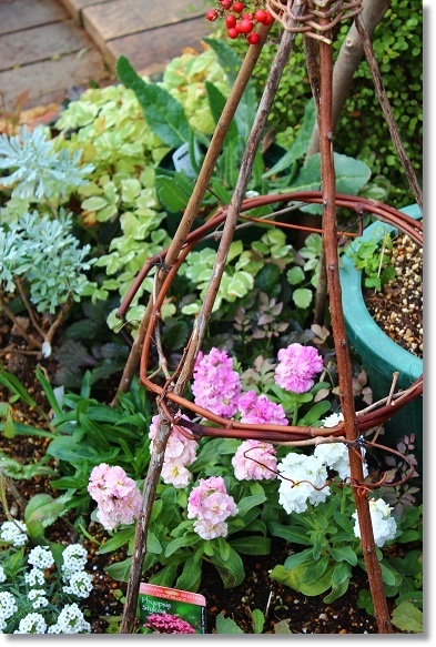 枝で作るトピアリー(支柱) : すきな ことに かこまれて