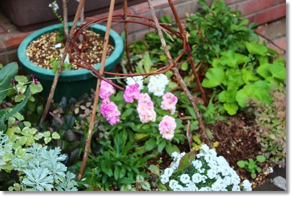 枝で作るトピアリー(支柱) : すきな ことに かこまれて