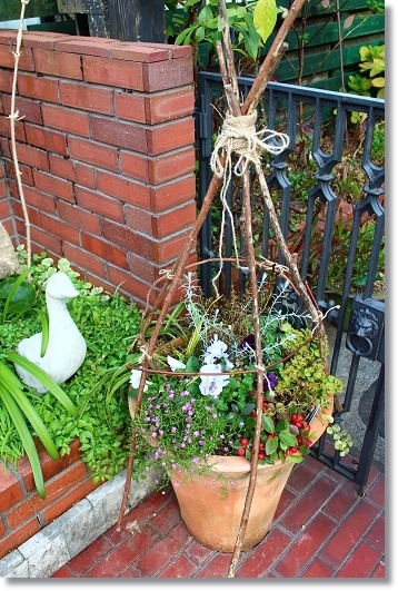 枝で作るトピアリー(支柱) : すきな ことに かこまれて