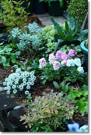 枝で作るトピアリー(支柱) : すきな ことに かこまれて