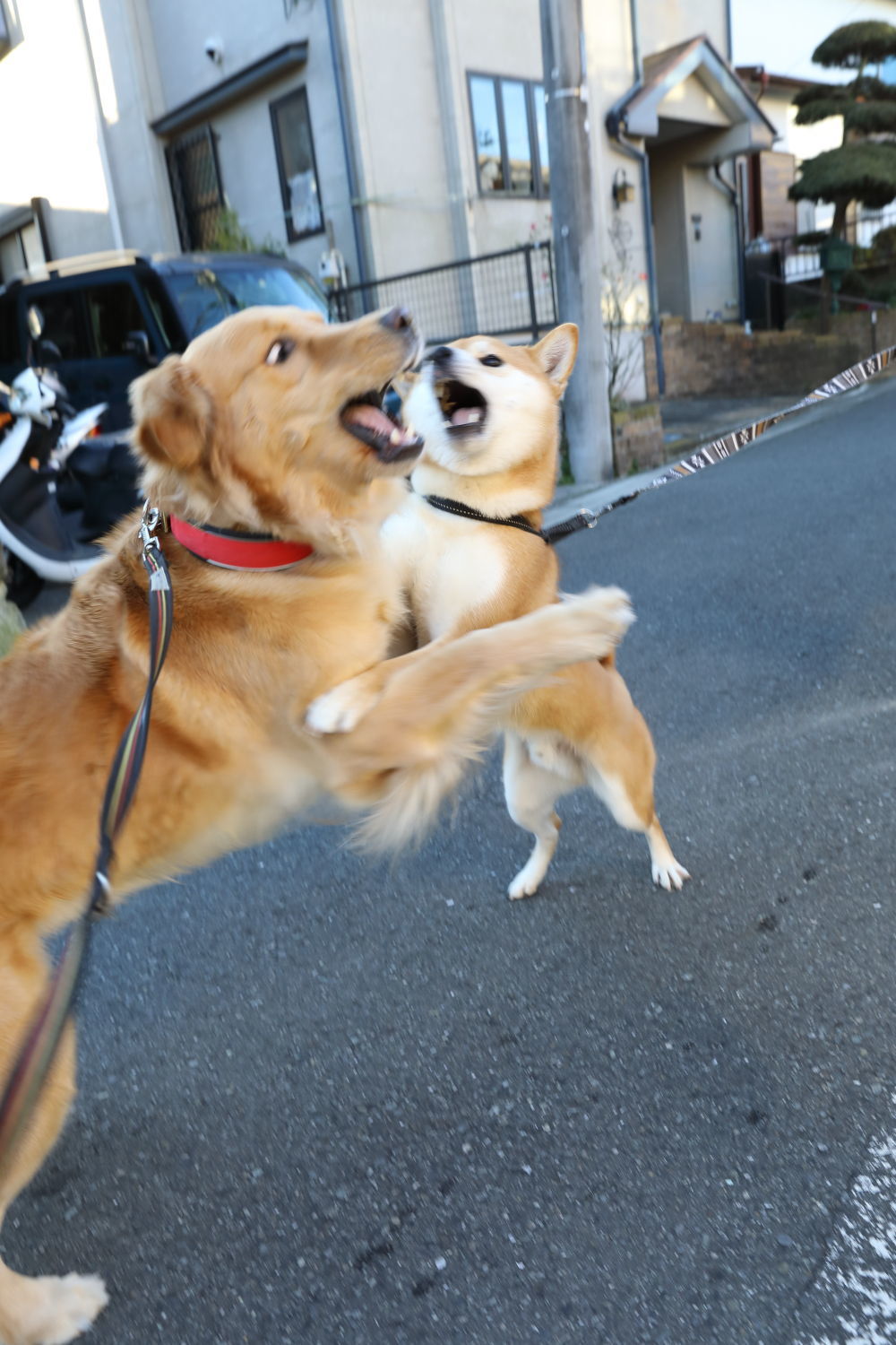日曜朝の集会_b0275998_13185200.jpg