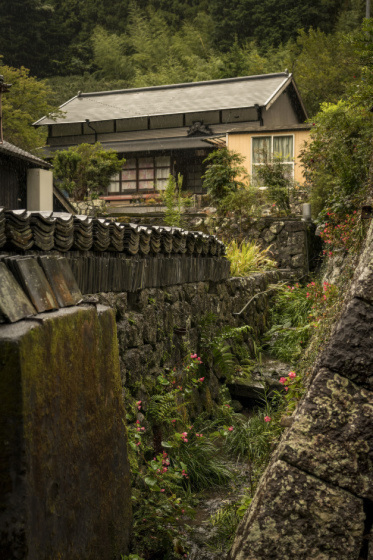 静岡県焼津市 花沢の里 風じゃ