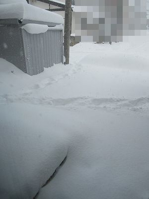 ドカ雪！！_f0328313_10443939.jpg