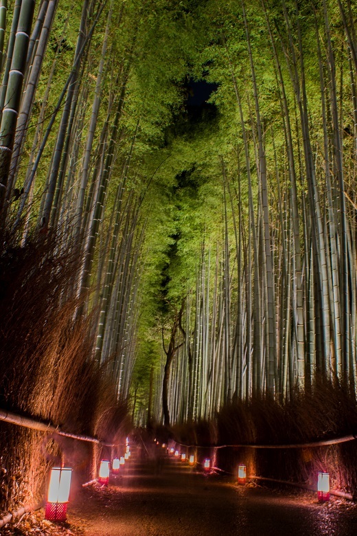 嵐山花灯路21 竹林の小径 鏡花水月