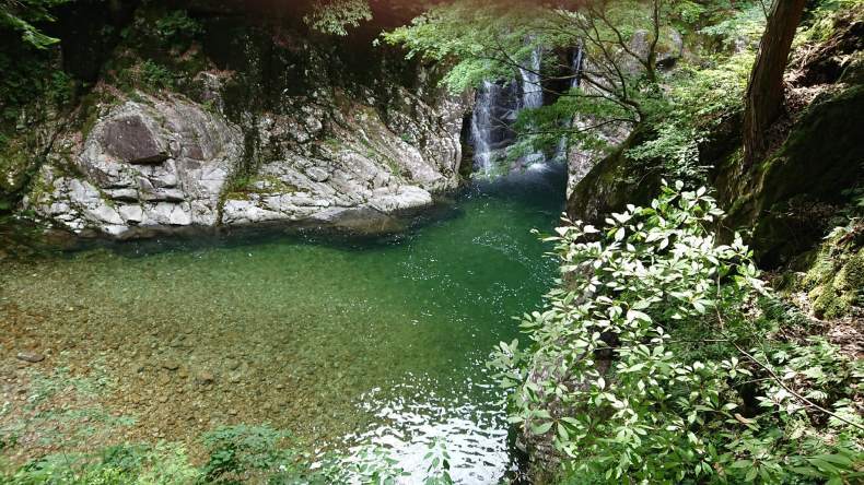 ナレンドラ ダモダルダス モディ नरेन्द्र दामोदरदास मोदी Narendra Damodardas Modi 1950 9 17生 18代インド首相　前グジャラート州首相_f0355240_10105203.jpg