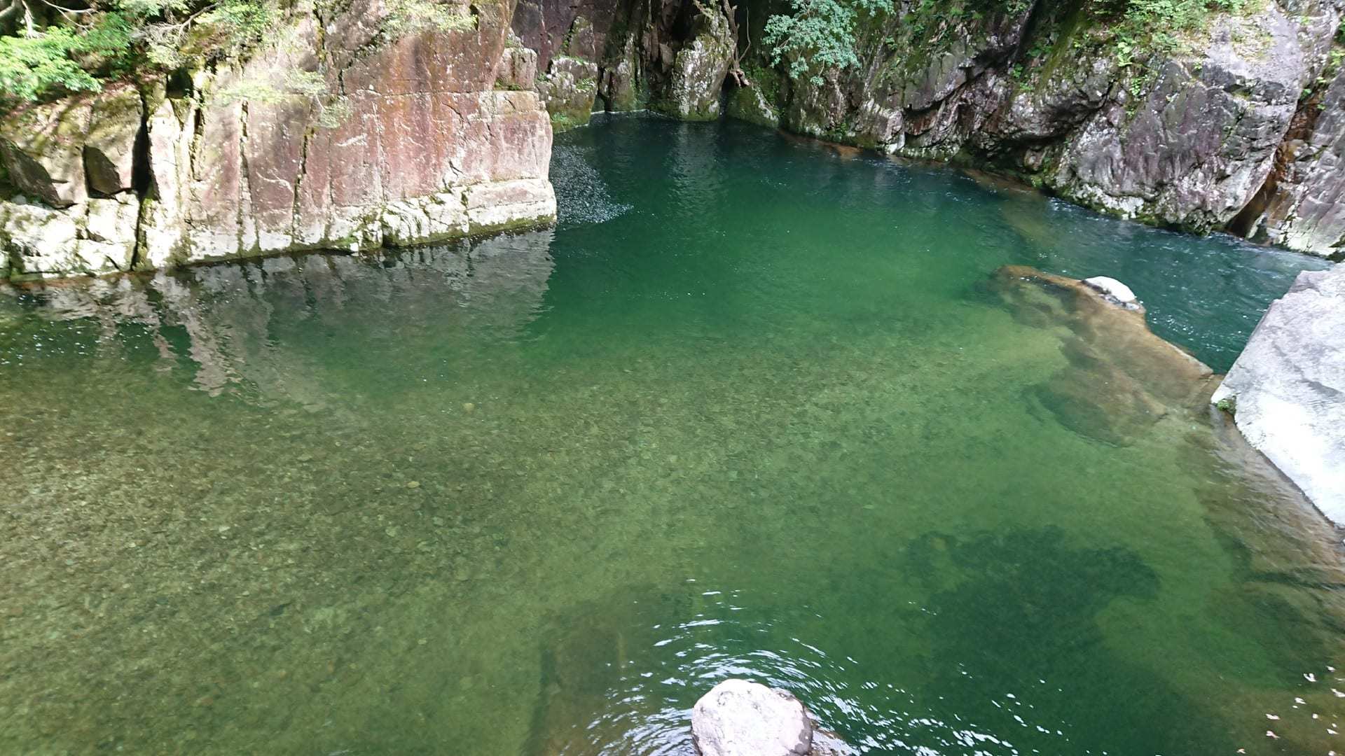 ナレンドラ ダモダルダス モディ नरेन्द्र दामोदरदास मोदी Narendra Damodardas Modi 1950 9 17生 18代インド首相　前グジャラート州首相_f0355240_10105335.jpg