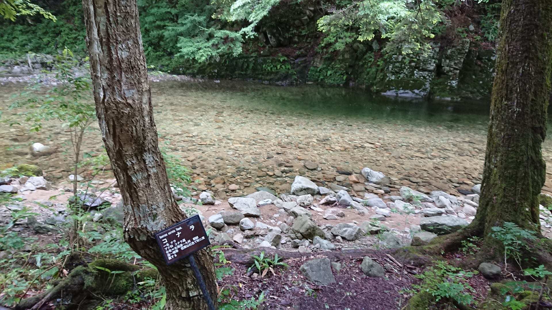 ナレンドラ ダモダルダス モディ नरेन्द्र दामोदरदास मोदी Narendra Damodardas Modi 1950 9 17生 18代インド首相　前グジャラート州首相_f0355240_10105374.jpg