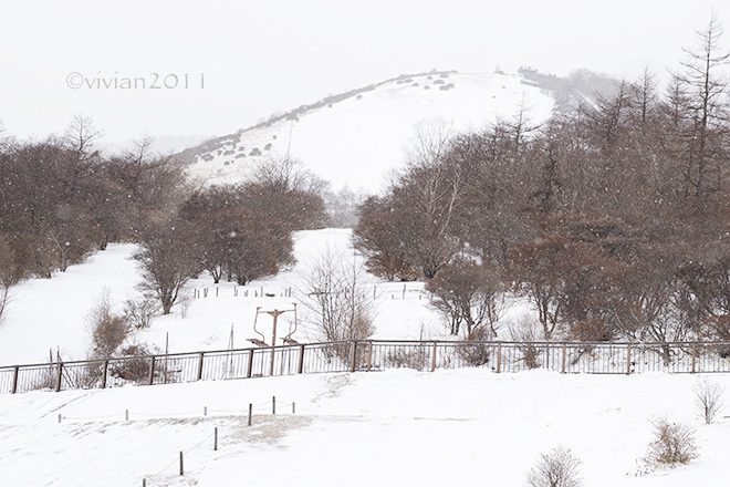 日光　霧降高原は雪景色　～冬タイヤは必須です～_e0227942_00321164.jpg