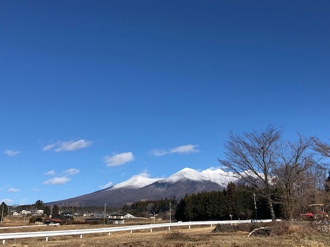 納会ウォーク2021仏沢渓流_f0019247_10215273.jpg