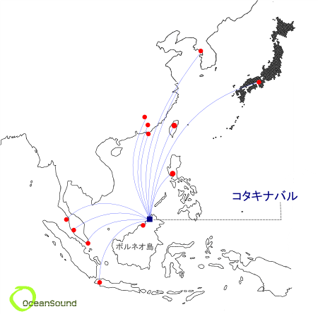 コタキナバルを旅する前に知っておきたいこと コタキナバル マレーシア のあれこれ