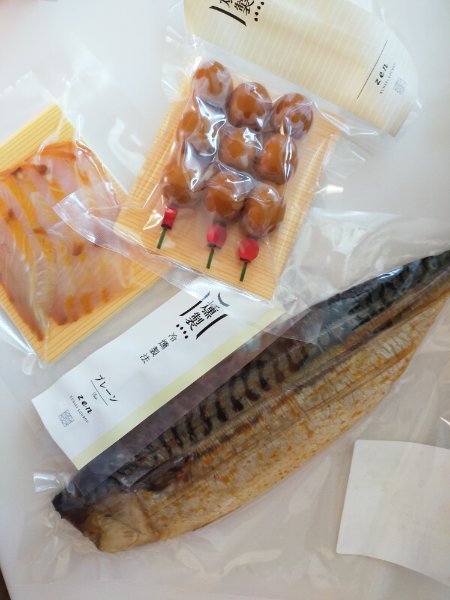 小田原プチ観光_d0345667_11195558.jpg