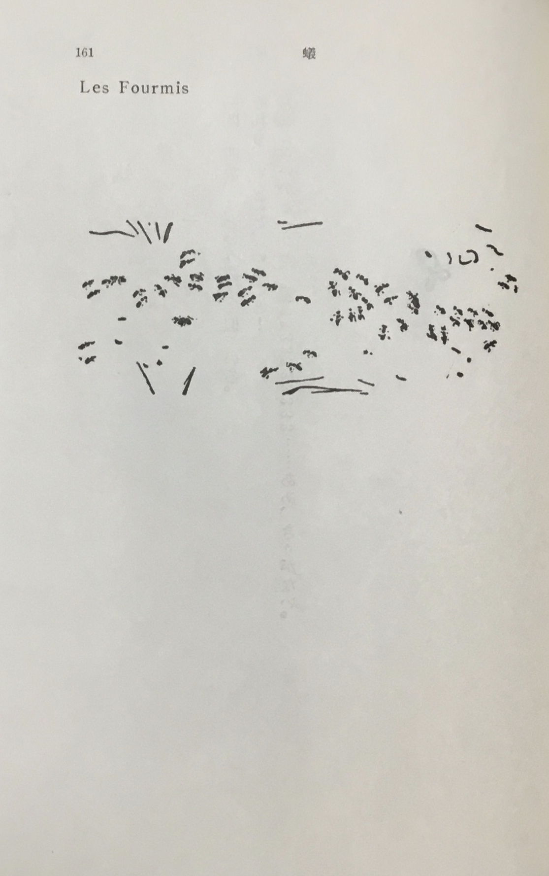 蟻 の俳句 ５７５筆まか勢