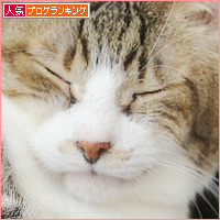 猫なのに～_a0389088_11561792.jpg