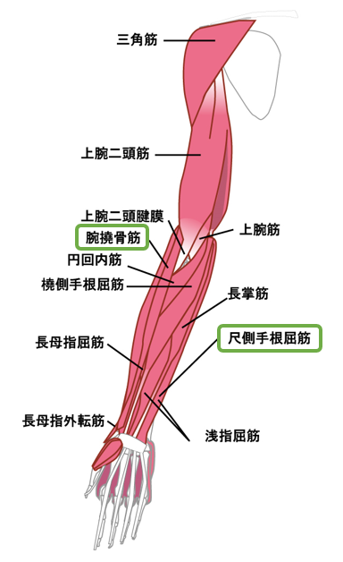 クライミングの影響で、筋肉痛が痛い : 忘れない日々 －4か所目の駐在