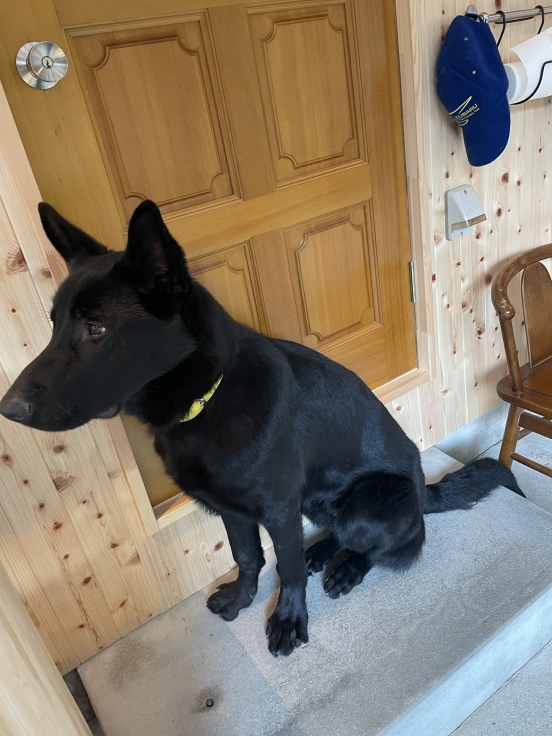 犬酒場_f0076731_21485115.jpeg