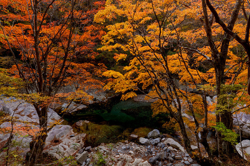 2021紅葉輝く奈良 秋深まる川迫川渓谷 : 花景色－K.W.C. PhotoBlog