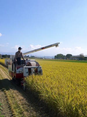 令和4年を熊本の安全で美味しいお米で迎えませんか!紹介3:惜しまぬ手間ひまの匠の『七城米 長尾さんのこだわりのお米』_a0254656_18325210.jpg