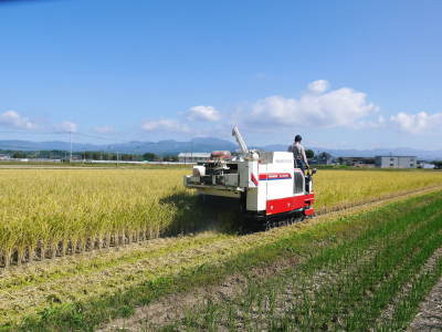 令和4年を熊本の安全で美味しいお米で迎えませんか!紹介3:惜しまぬ手間ひまの匠の『七城米 長尾さんのこだわりのお米』_a0254656_18411154.jpg