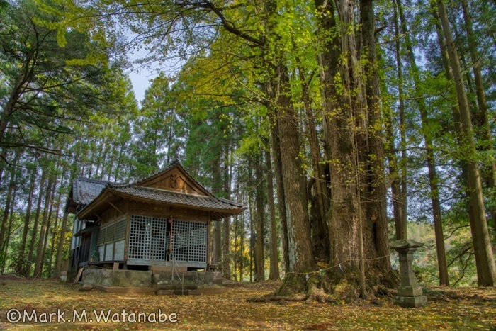 日吉神社_e0135098_23385902.jpg