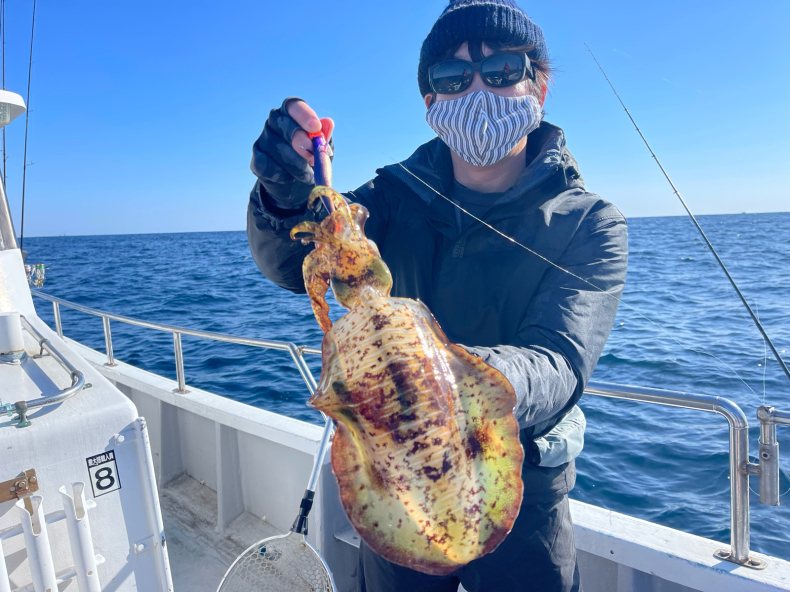 12月23日 アオリイカ 便 三重県 志摩沖 つり船 まると屋