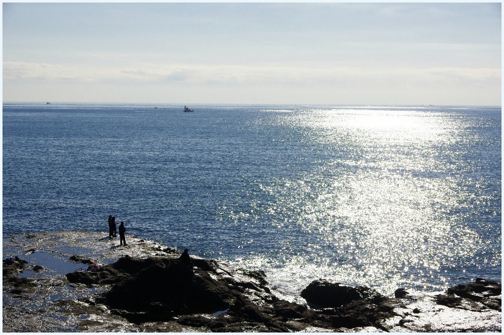 江の島から片瀬漁港へ_c0352813_16274567.jpg