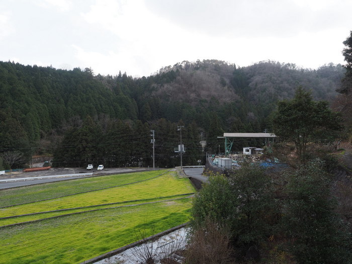 晴れたり曇ったりのち曇り_c0116915_23082502.jpg